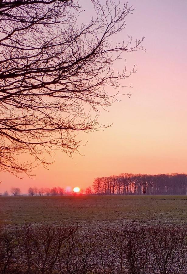 Vakantiewoning Victors Hof Tot 4 Pers Lievegem Екстер'єр фото