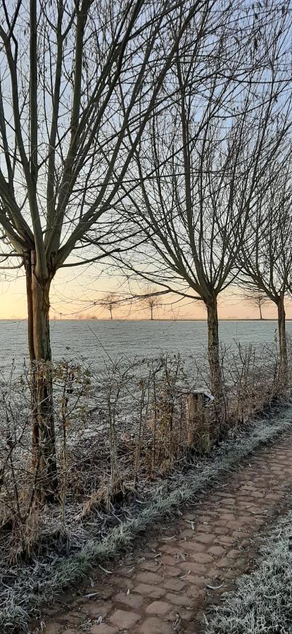 Vakantiewoning Victors Hof Tot 4 Pers Lievegem Екстер'єр фото