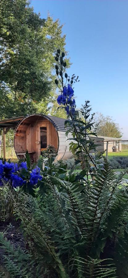 Vakantiewoning Victors Hof Tot 4 Pers Lievegem Екстер'єр фото